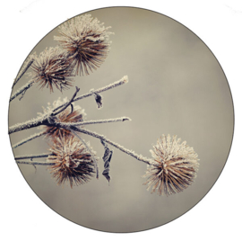 Muurcirkel winterflowers 40cm