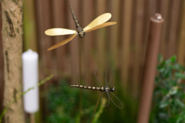 Deco Dragonfly S Ass. 4 goud