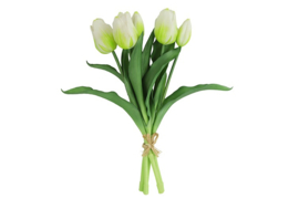 Tulipa boeket wit