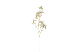 Gloriosa L champagne/goud