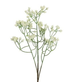 Gypsophila wit