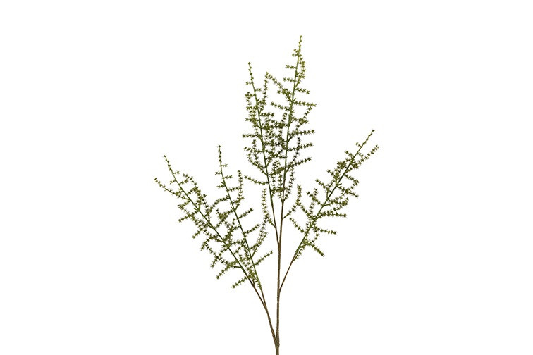 Kunstblad Asparagus setaseus L groen-L100B10H3,5CM