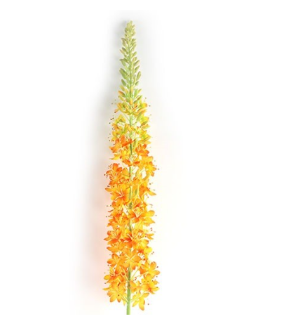 Kunstbloem Lythrum L oranje