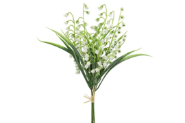 Convallaria majalis wit