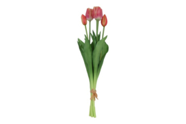 Tulipa boeket 3Dp s zalm/crème