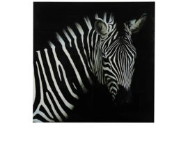 Schilderij zebra vk Wild life L zwart/wit