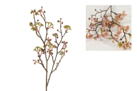 Prunus jamasakura Vika S roze-L60B16H2CM