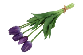 Tulipa boeket 3Dp s d.paars