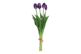 Tulipa boeket 3Dp s d.paars
