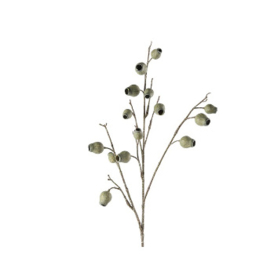 Eucalyptus groen-L3B14H86CM