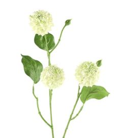 Viburnum M crème-L10B18H68CM