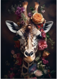 Poster A5 Giraffe