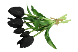 Tulipa boeket zwart