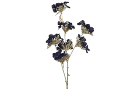 Hydrangea S d.blauw