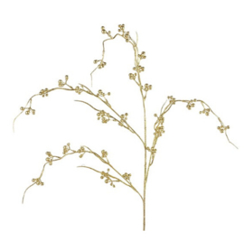 Corylus avellana goud
