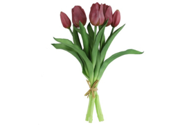 Tulipa boeket paars