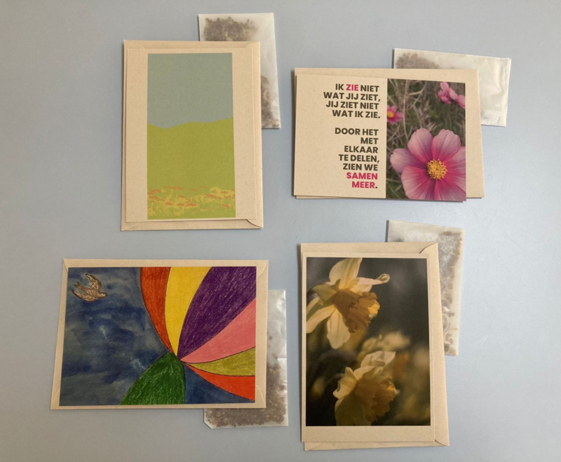 Vrolijke set postkaarten mét bloemenzaad