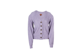 Mooi Vrolijk Vest Knitted Basic Purple