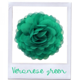 Urban Hippies Veronese Green Chiffon Corsage