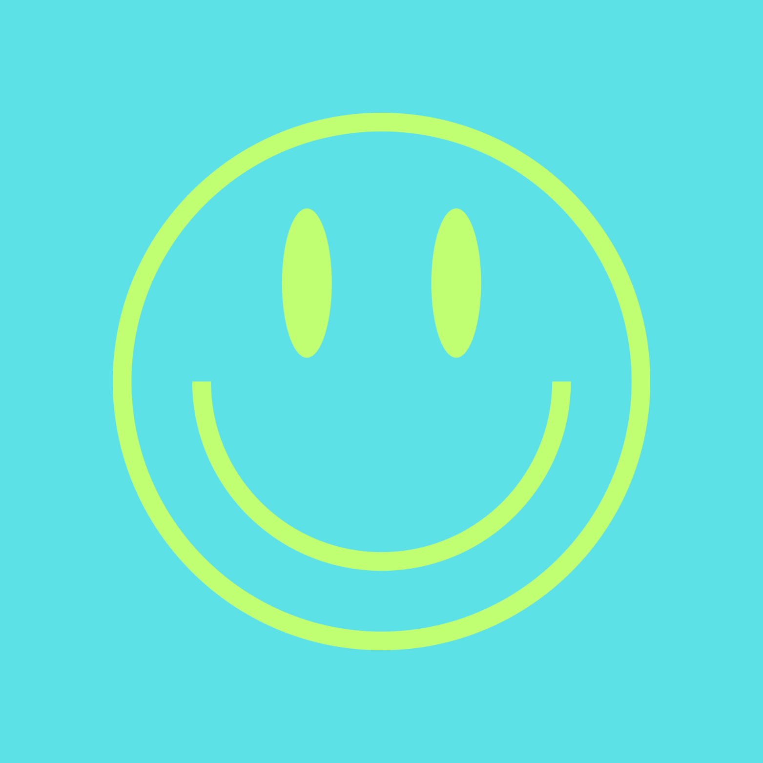 25. Mr. Smiley Blauw/Groen
