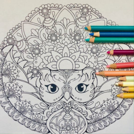 Masja's Mandala's 2