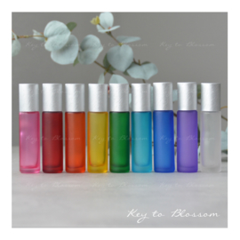 Rainbow Roller Bottles (10ml) with Brushed Silver Caps - Set of 9
