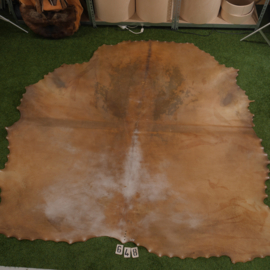 Perkament van bizon (4.06 m²)