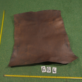 Perkament geit gekleurd (ongeveer 1,10 m²)