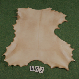 Reindeer parchment (0.65 m²)