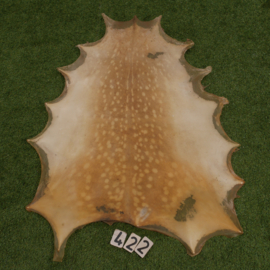 Perkament van damhert (0.76 m²)