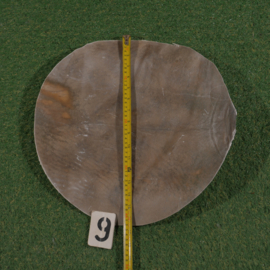Perkament van paard (42 cm)