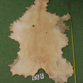 Red deer parchment (1.19 m²)