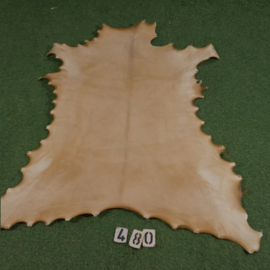 Reindeer parchment (0,99 m²)