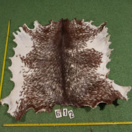 Perkament van geit met haar (ongeveer 1,10 m²)