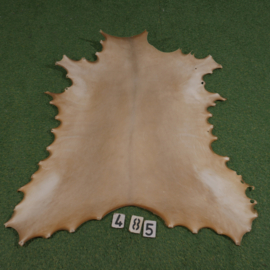 Reindeer parchment (0,89 m²)