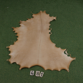 Reindeer parchment (0.73 m²)