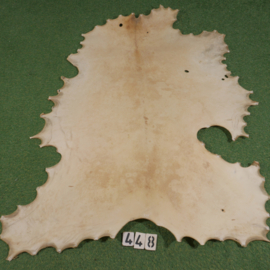 Red deer parchment (1.54 m²)