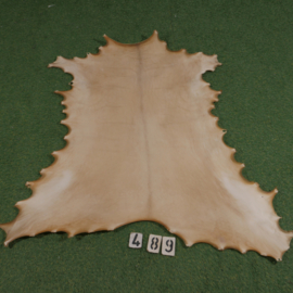 Reindeer parchment (0,93 m²)