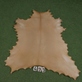 Reindeer parchment (1.06 m²)