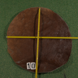 Perkament van paard met haar (72 cm)