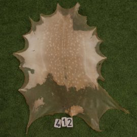 Perkament van damhert (0.66 m²)