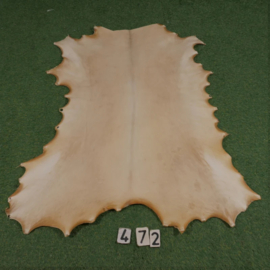 Reindeer parchment (1.09 m²)