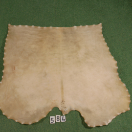 Veal parchment (1.47 m²)