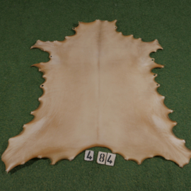 Reindeer parchment (0.96 m²)
