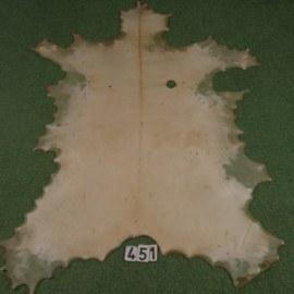 Red deer parchment (1.06 m²)