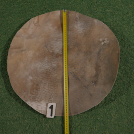 Perkament van paard (50 cm)