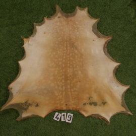 Perkament van damhert (0.94 m²)