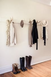 Separate roe deer antler (14-17 cm)