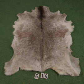 Perkament van geit met haar (ongeveer 1,10 m²)