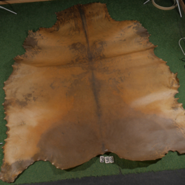 Horse parchment (4.62 m²)